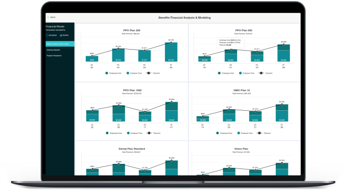 Analyze SMB Business Retirement Plan